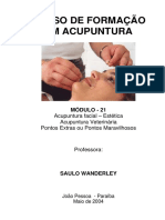 Curso de formação em acupuntura - Módulo 21