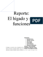 Reporte Funciones Del Hígado