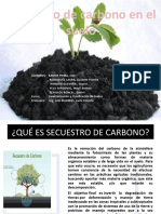 Secuestro-de-carbono-en-los-suelos11