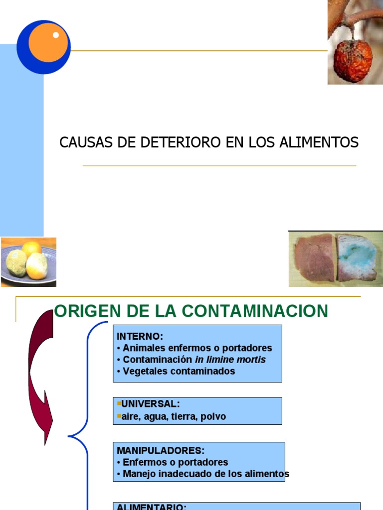 Causas de Deterioro en Alimentos | PDF | Agua | Las bacterias