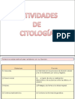 practica de citologia 3ero y 4to de secundaria.pdf
