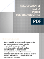 Recolección de Datos Perfil Sociodemografico 2