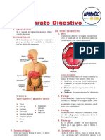 Aparato Digestivo