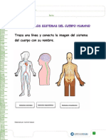 Sistemas PDF