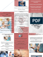 Proyecto Final Ginecología y Clínicas Hospitalarias PDF