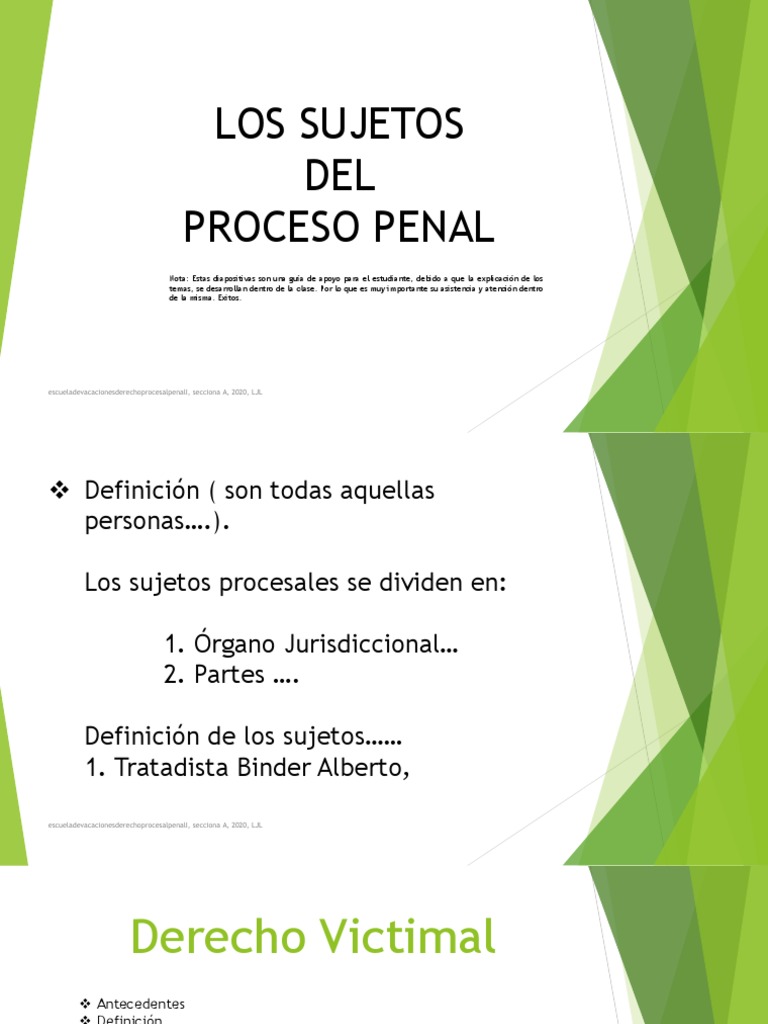 Sujetos Procesales | PDF | Derecho penal | Ley procesal
