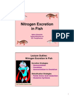 Lecture Outline: Nitrogen Excretion in Fish