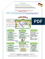 Clasificacion de Los animales-CUARTO 28MAYO