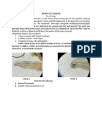 BPSC Quizbee - Difficult Round (Parasitology).docx