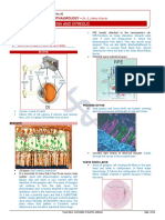 Retina and Vitreous: Ophthalmology