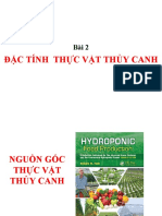 ch2-gioi thieu thuc vat TC.ppt