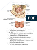 18231156-Anatomy-Physiology-of-Female-Reproductive-System.doc