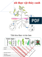 ch3-Dac tinh & cấu truc thuc vat TC