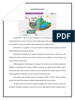 Bioremediation