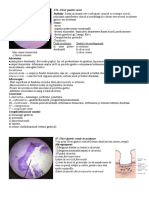 esofag_stomac_ficat_2.docx