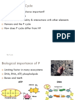 Phosphorus Cycle