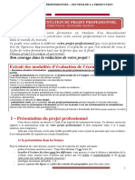 Guide de Presentation Du Projet Professionnel EPREUVE ECONOMIE GESTION PDF