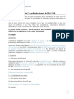 379285950-Mode-le-Projet-Professionnel-pdf.pdf