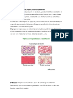 Estructuras_del_cuerpo_humano.pdf