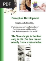 Perceptual Development