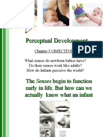 Perceptual Development