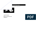 LIBRO DEM.pdf