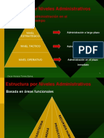 Organizacion y Procesos de Auditoria