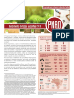 Rendimentos Do Trabalho PNAD 2019