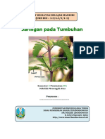 UKBM 3.3 BIOLOGI XI - jaringan pada Tumbuhan (3)