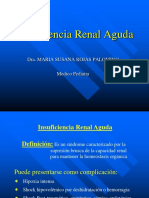250353627-Insuficiencia-Renal-Aguda-Unan.pdf