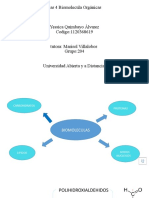 Las 4 Biomolecula Orgánicas