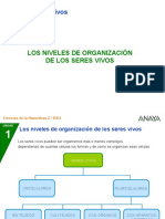 Niveles de Organizacion de los Seres Vivos.ppt