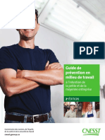 Guide de Prévention en Milieu de Travail PDF