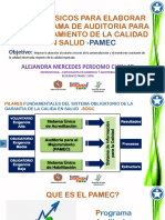 Alejandra Pasos para Elaborar Un Pamec PDF
