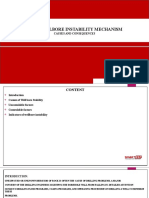 Alouane sofiane Welbore Instability mechanism.pptx