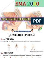 Aparato Reproductor Femenino - Rody PDF