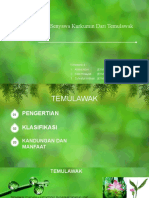 Isolasi Senyawa Kurkumin Dari Temulawak