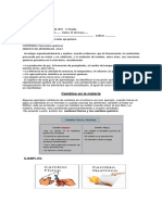 GUIA Nº3 QUIMICA 1ºMEDIO Reacciones Quimicas y Sus Señales