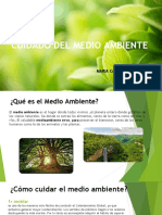 Cuidado Del Medio Ambiente