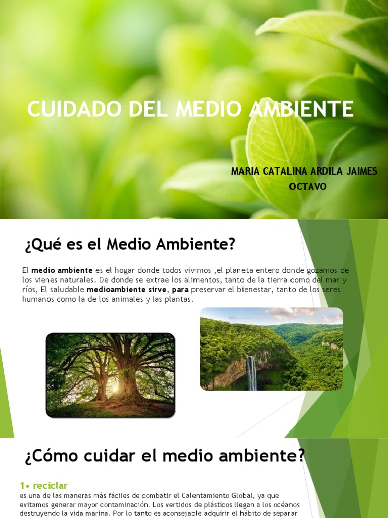 Cuidado Del Medio Ambiente | PDF | Entorno natural | Contaminación