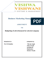 Business Marketing Management: Budgeting of Advertisement For Selected Company