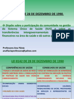 Anaflavia Politicasdesaude3 14062012