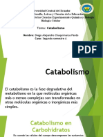 Catabolismo Presentacion