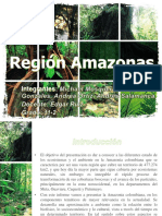 P2Region Amazonas Presentacion 11-2