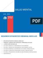 Registro Estadístico Salud Mental PDF