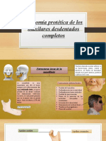 Anatomía Protética de Los Maxilares Desdentados Completos