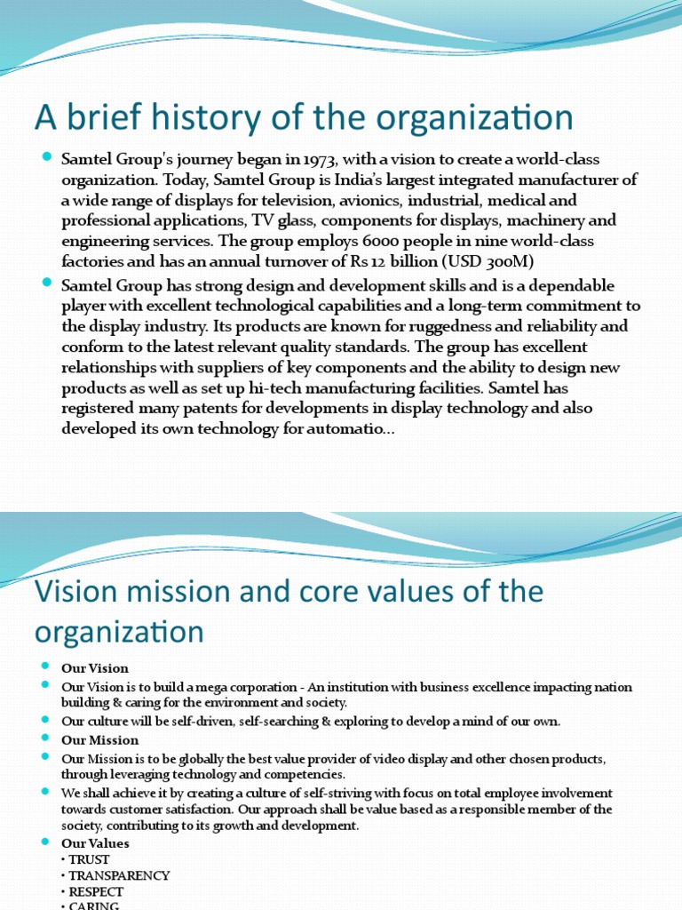 A brief history of the organization ppt