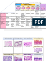 Tabla Comparativa de Epitelios PDF