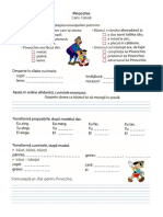 pinocchiofisa_de_lucru.pdf