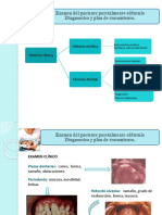 DX y Tto Del PX Ugma